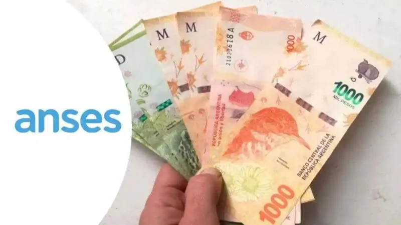 Anses: calendario de pagos con aumentos y bono en agosto – FM Open Noticias
